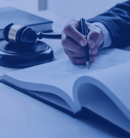 المزادات والمناقصات