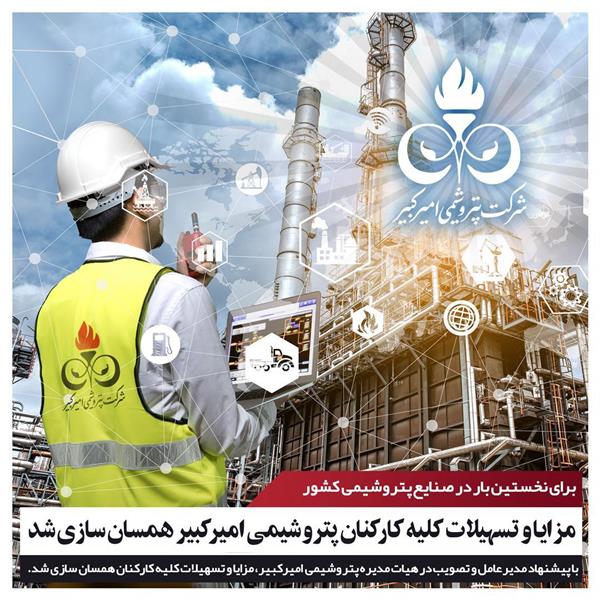 پتروشیمی امیرکبیر,  شکبیر, همسان‌سازی حقوق و مزایای کارکنان, مهندس عبدالمجید محمدی مدیرعامل پتروشیمی امیرکبیر